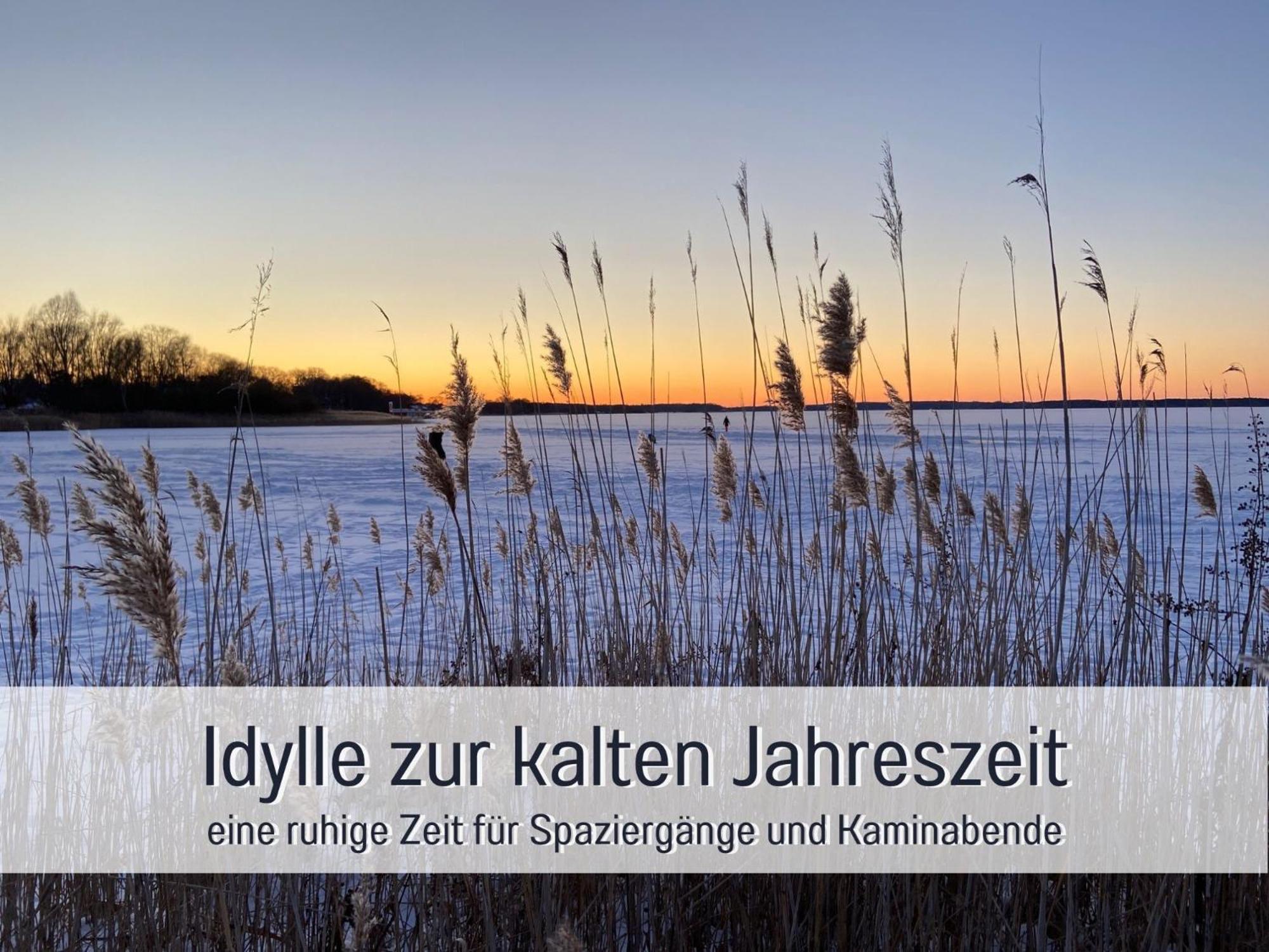 Strandhaus Mathea - Ruhige Lage Direkt Am Fleesensee - Parkplatz, Kamin, Sauna - Familienfreundlich Unter Gohren Ngoại thất bức ảnh