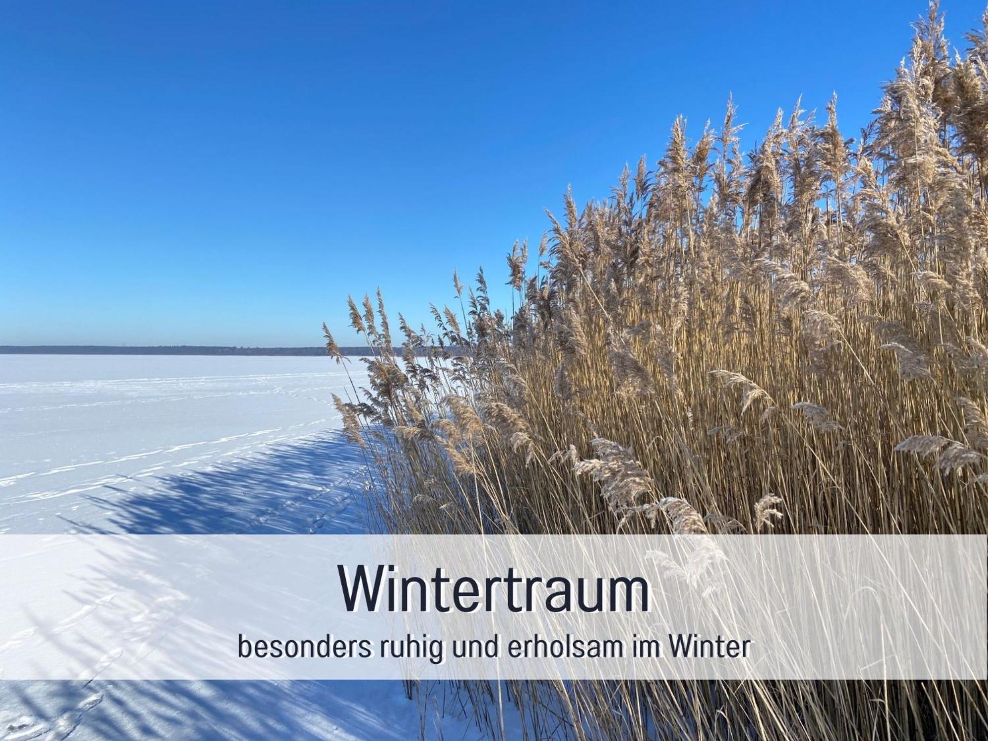 Strandhaus Mathea - Ruhige Lage Direkt Am Fleesensee - Parkplatz, Kamin, Sauna - Familienfreundlich Unter Gohren Ngoại thất bức ảnh