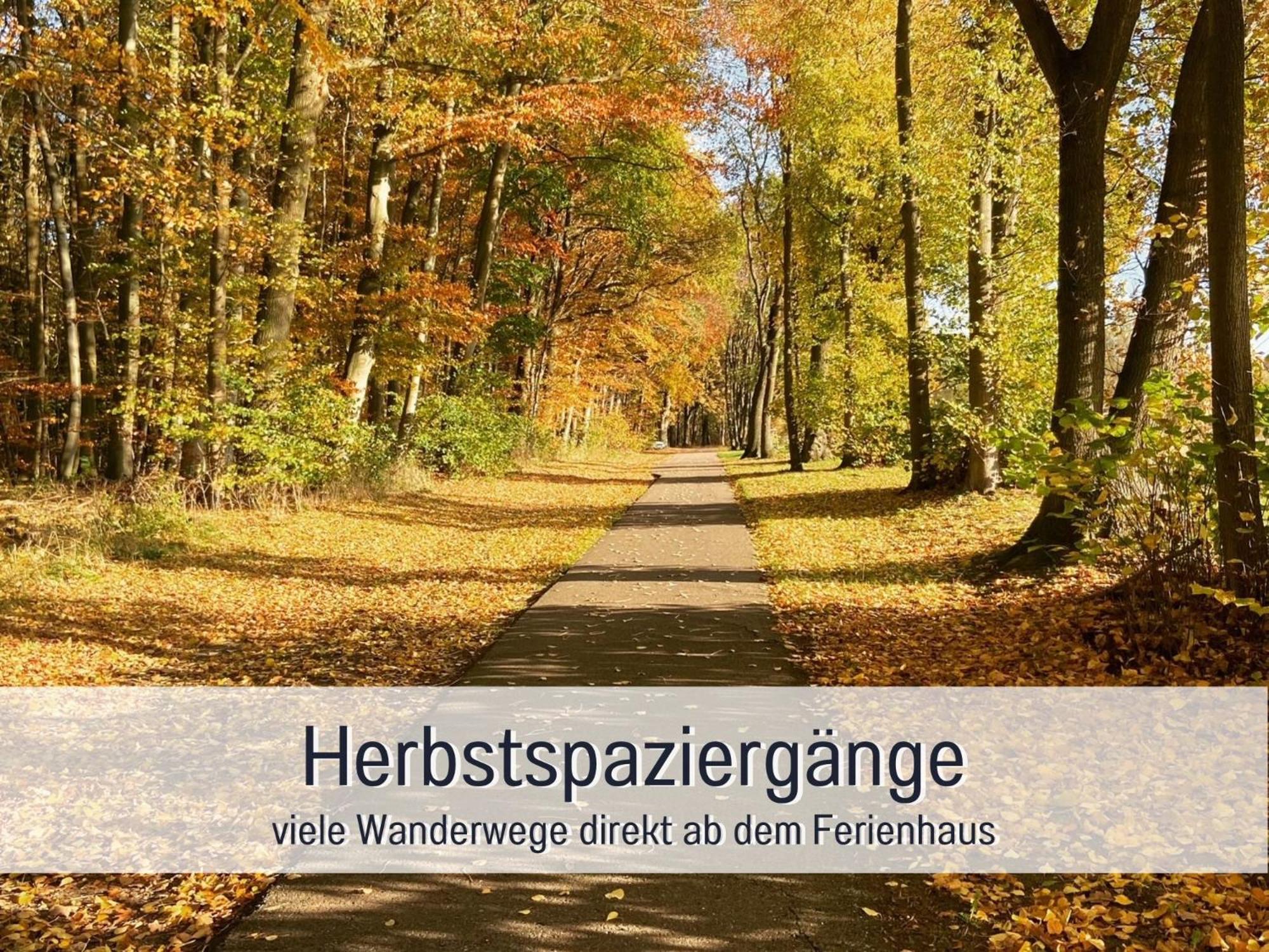 Strandhaus Mathea - Ruhige Lage Direkt Am Fleesensee - Parkplatz, Kamin, Sauna - Familienfreundlich Unter Gohren Ngoại thất bức ảnh